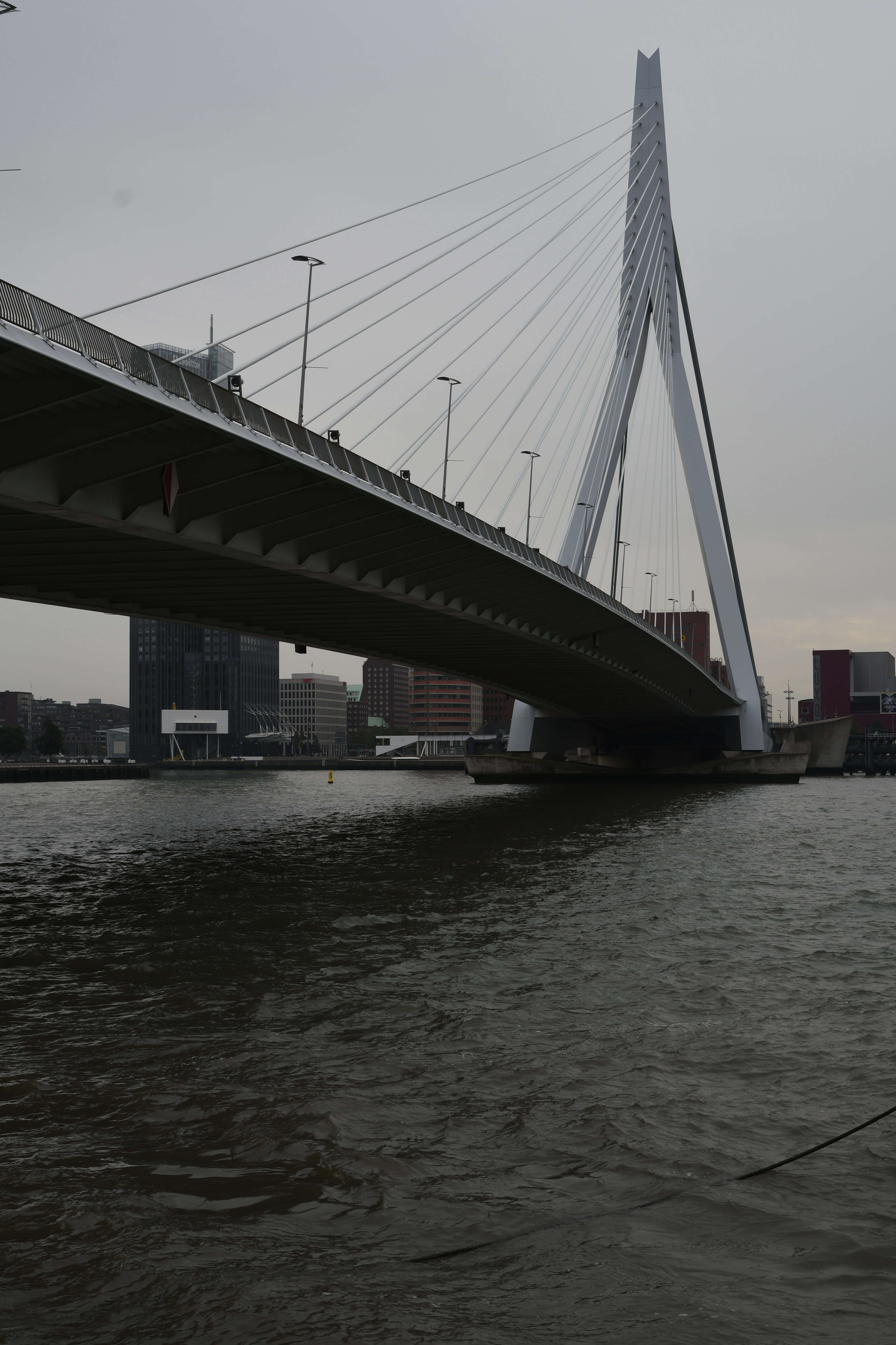 Vereinsreise Rotterdam, Erasmusbrücke